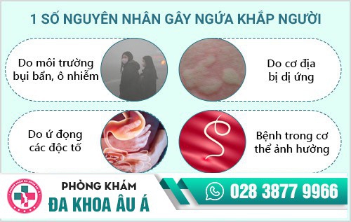 Ngứa khắp người